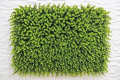 《失落的方舟》计划加入新的欧洲大区服务器 但不支持跨区游玩